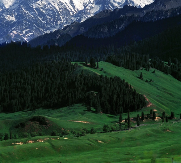 粉象生活里怎么设置邀请码