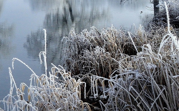 粉象生活邀请码
