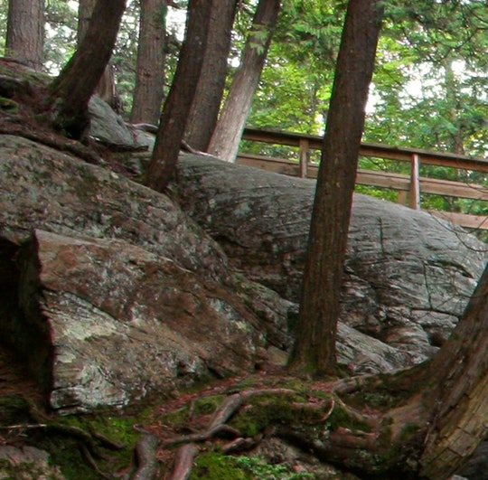 粉象生活佣金如何提取