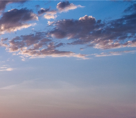 粉象生活升级后大概几天才看到收入