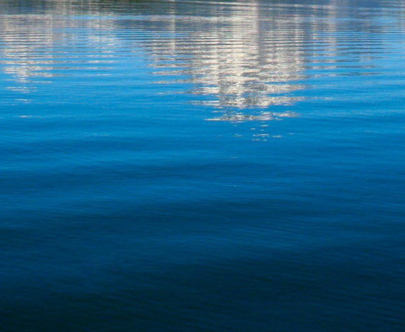 粉象生活金融板块