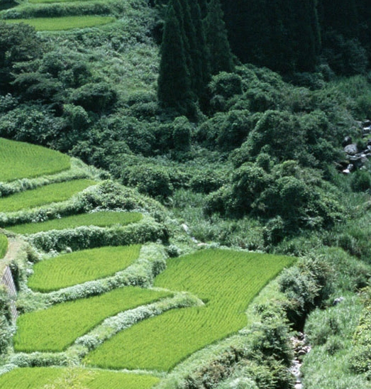 粉象生活上的开宝箱在哪里