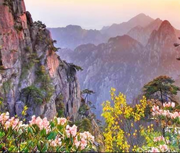 粉象生活淘宝怎么授权不了