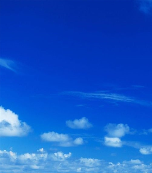 粉象生活下载app