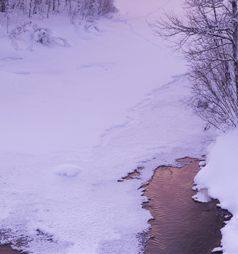 粉象生活淘宝授权了可以取消吗