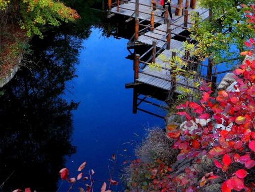 粉象生活粉丝怎么增加