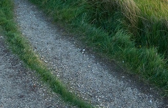 粉象生活邀请码填谁的最好