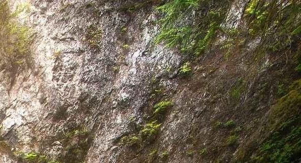 粉象生活怎么进福利群