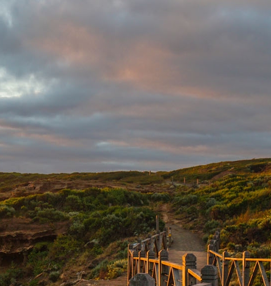 粉象生活游戏下载