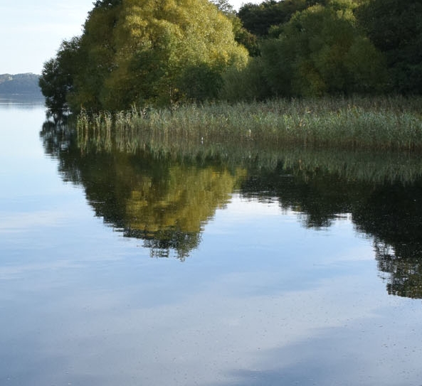 粉象生活推广一个人赚多少钱