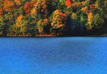粉象生活的电脑版怎么下载