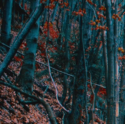 国外米其林餐厅价格