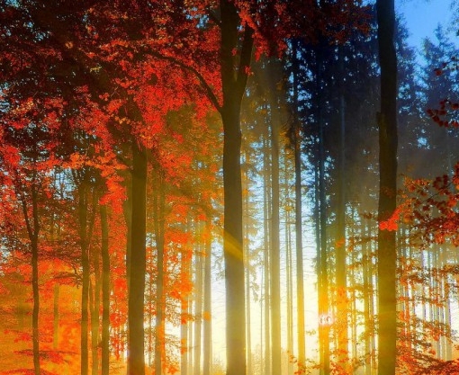 粉象生活如何开通收款码