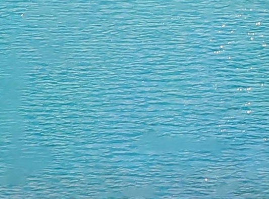 菏泽东明李家粉肚