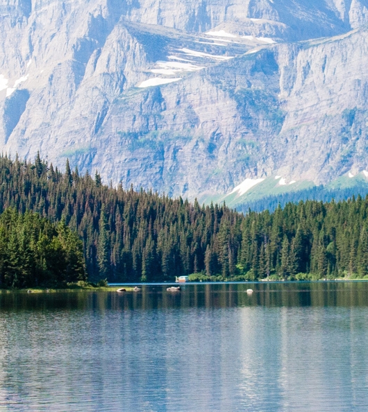 粉象生活邀请码