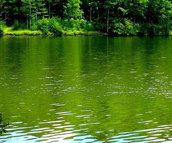 粉象生活怎么赚钱