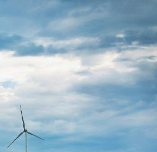 粉象生活是什么?