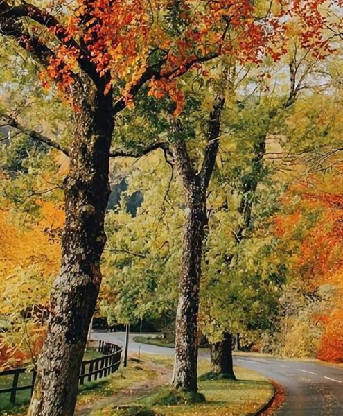 粉象生活邀请码在哪里填写