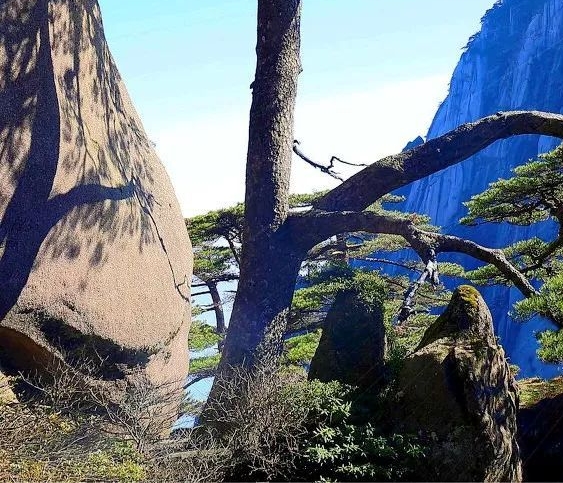 粉象生活能赚到钱吗