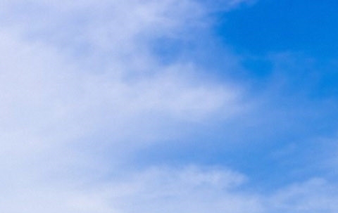 粉象生活 廖本科