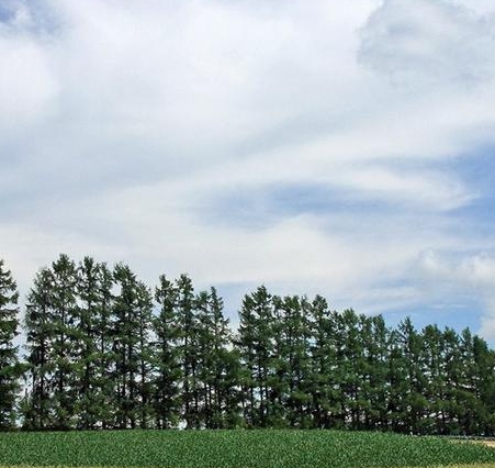 南宁万象城附近楼盘