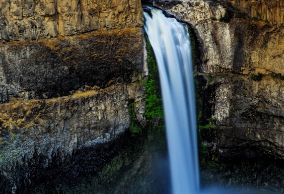 粉象生活日结提现