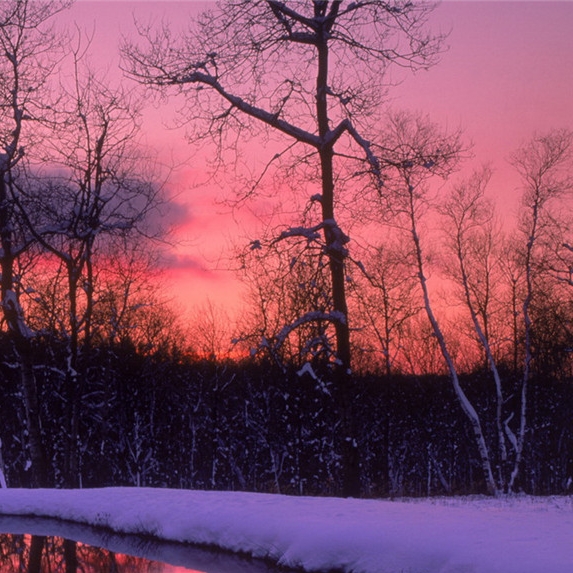 粉象生活是骗人的嘛