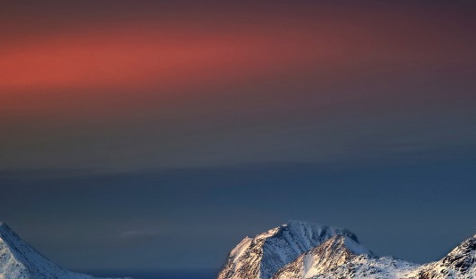 粉象世界app下载安装