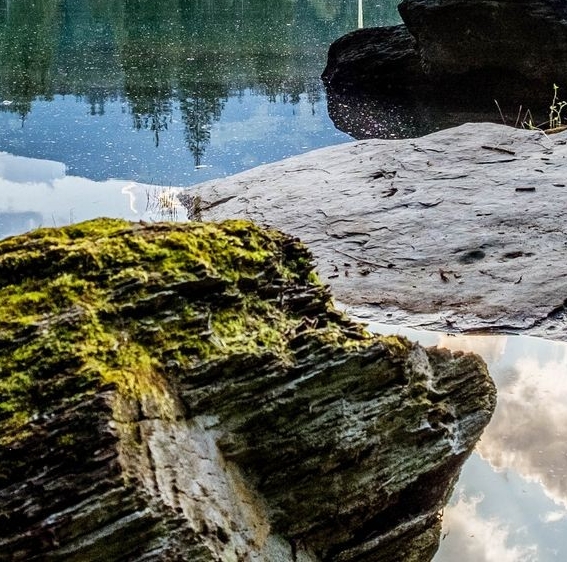 粉象生活讲解视频