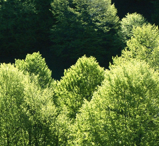 粉象生活下载app