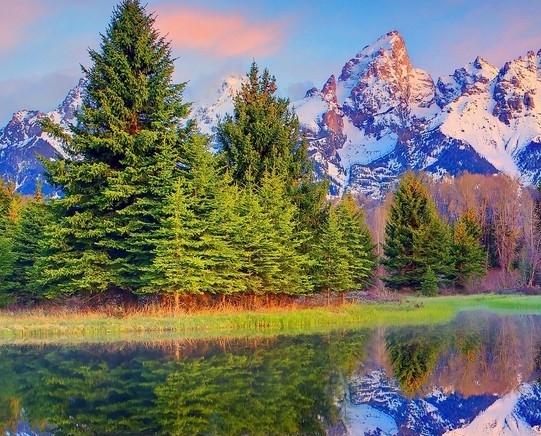 粉象生活怎么弄京东