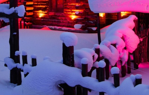 粉象生活红包搜索