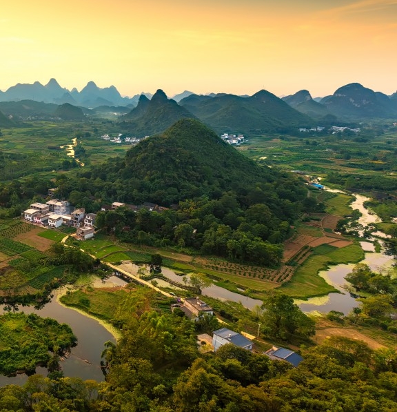 粉象生活是个什么东西