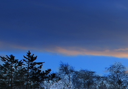 粉象生活购买链接