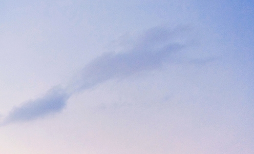 粉象生活到底靠谱吗