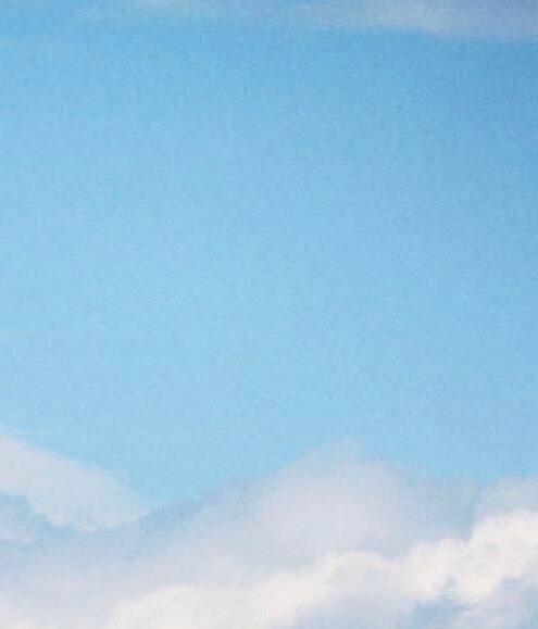 粉象生活查看砍价