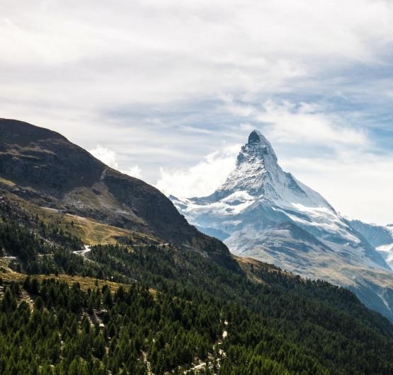 粉象生活下载app