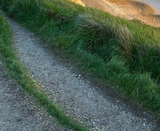 粉象生活新人任务界面