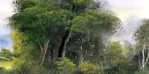 粉象生活邀请更换