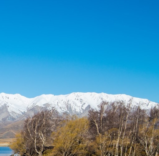 粉象生活怎么赚钱