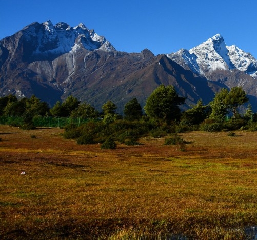粉象生活完成融资