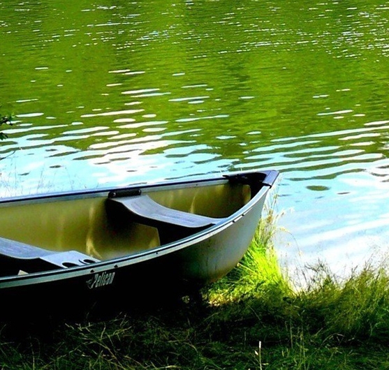 粉象生活推广文章