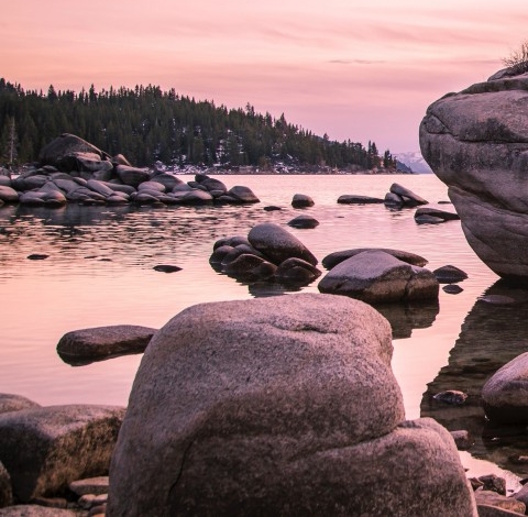 淘宝粉象生活平台