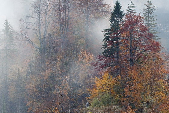 粉象生活粉丝升级我有多少佣金