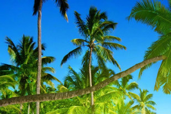 粉象生活团队注册条件