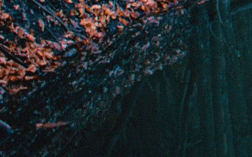 粉象在国外餐厅的价格