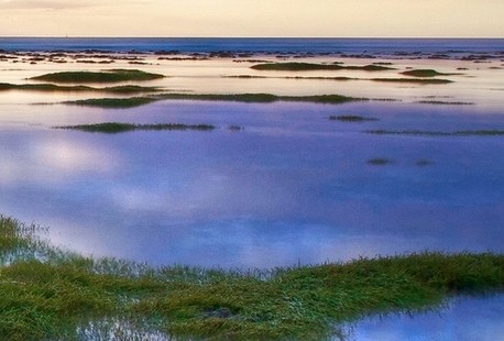 喜力进口啤酒日期怎么看