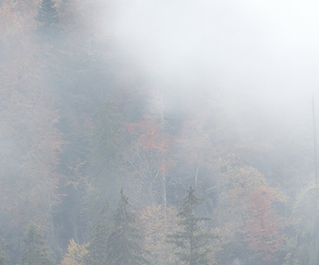 粉象生活如何自己邀请好友
