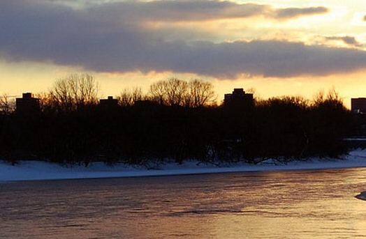 宜昌粉象生活推广