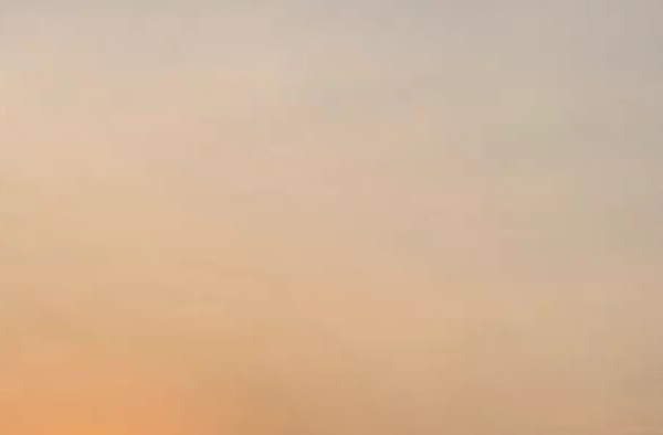 怎样在粉象生活购物